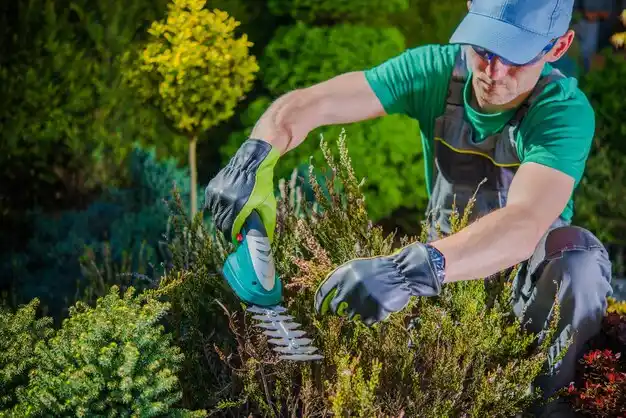 landscaping services Burwell
